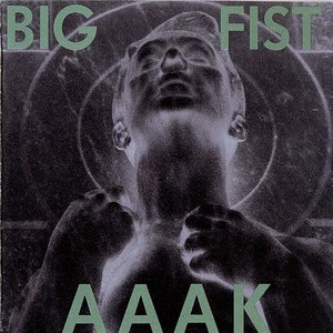 Image for 'Big Fist'