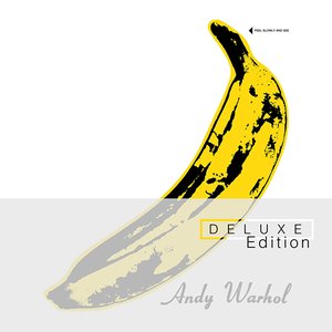 Image for 'The Velvet Underground & Nico (Deluxe Edition)'