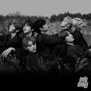Immagine per 'line sun goodness'
