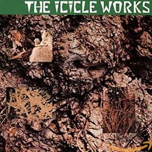 Imagem de 'The Icicle Works (De-luxe)'