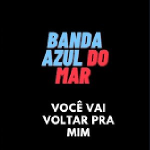 “Você Vai Voltar pra Mim”的封面