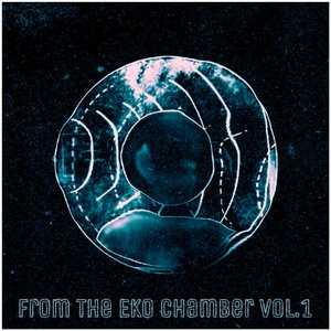 Image for 'From The Eko Chamber Vol.1'