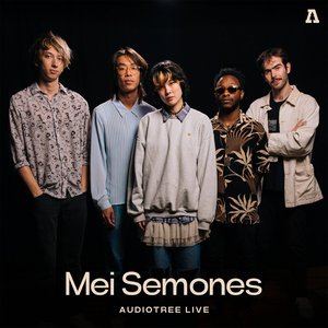 Immagine per 'Mei Semones on Audiotree Live'