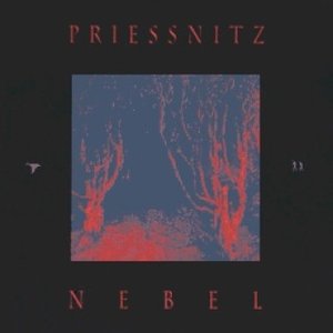 Image for 'Nebel'