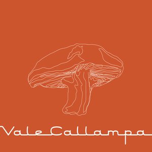 “Vale Callampa”的封面
