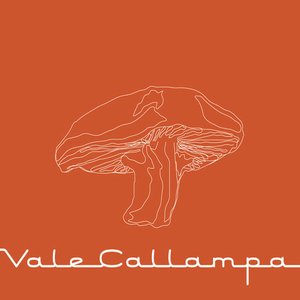 Imagem de 'Vale Callampa'