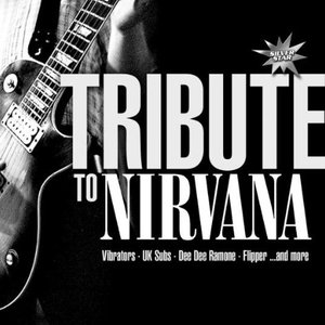 Image for 'A Tribute to Nirvana'