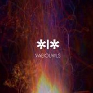 Image for 'vaeiouwls'