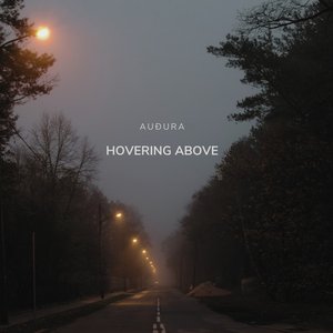 Image for 'Hovering Above'