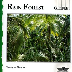 Image for 'Rain Forest'
