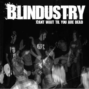 Image for 'Blindustry'