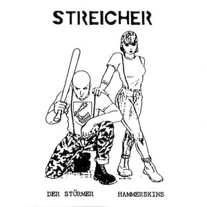 Image for 'Der Stürmer / Hammerskins / compilations of 90's'