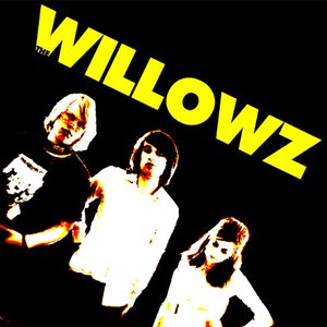 Imagen de 'The Willowz'