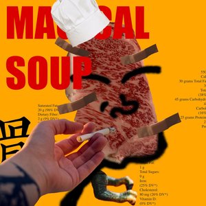 Image for 'MAGICAL SOUP'