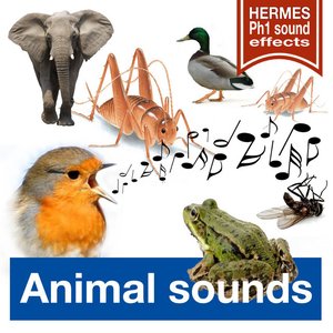 Image for 'Animal Sounds (Long Versions)'
