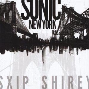 Image pour 'Sonic New York'