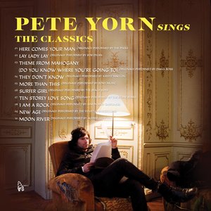 Image for 'Pete Yorn Sings The Classics'