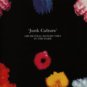 “Junk Culture”的封面