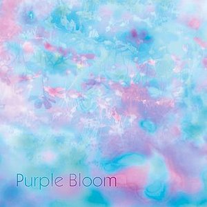 “Purple Bloom”的封面