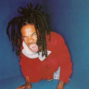 Image for 'Busta Rhymes'
