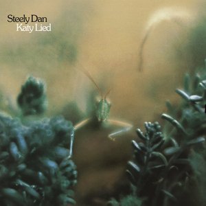 “Katy Lied”的封面