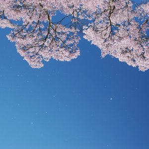 Image for 'Pouring Voices'