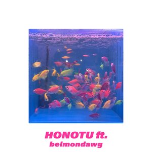 Image for 'Honotu'