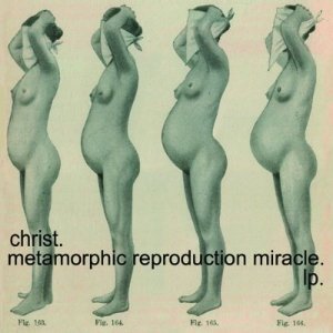 Image for 'Metamorphic reproduction miracle'