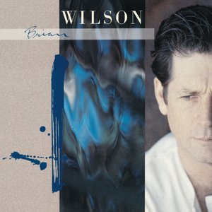 “Brian Wilson”的封面