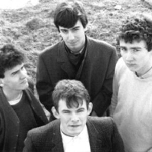 Image for 'The Dentists'