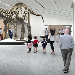 Immagine per 'Museum Music'