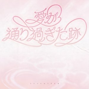 Image pour '愛が通り過ぎた跡'