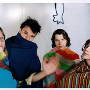 Image for 'The Dirty Projectors'