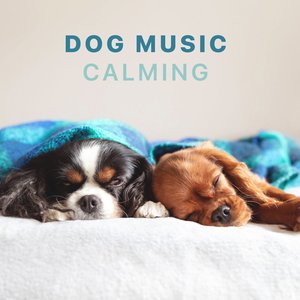 Image pour 'Dog Music - Calming Songs for Dogs and Puppies'