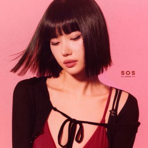 “SOS”的封面
