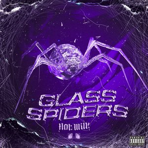 Image for 'Glass Spiders'