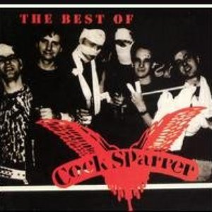 Image for 'The Best of Cock Sparrer'