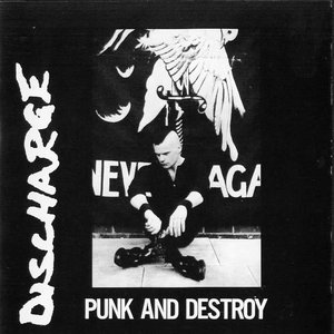 Image for 'Punk and Destroy'