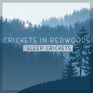 Image for 'Crickets In Redwoods'