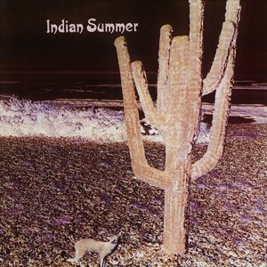 Image for 'Indian Summer'