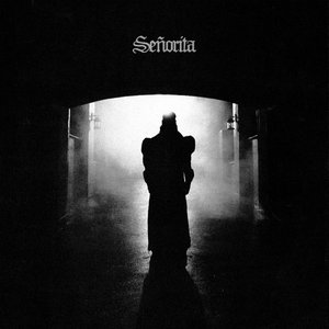 Image for 'Señorita - Single'