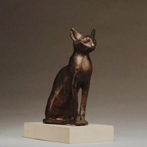 “Nine Lives”的封面
