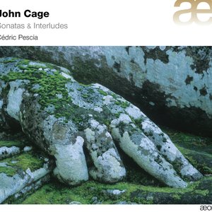 Image pour 'Cage: Sonatas & Interludes'