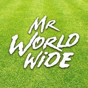 Image for 'Mr Worldwide'