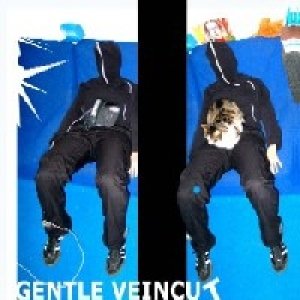 Image for 'Gentle Veincut'