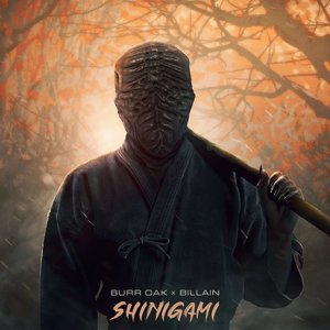 Изображение для 'Shinigami / Strafe'