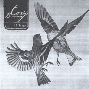 Image for '12 Songs'