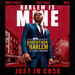 'Just in Case (feat. Swizz Beatz, Rick Ross & DMX)' için resim