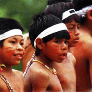 Image for 'Memória Viva Guarani'