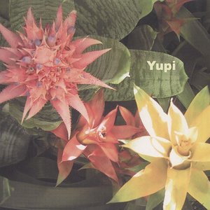 Image for 'Yupi'
